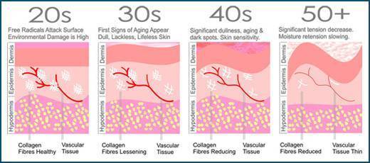 envejecimiento piel cambios