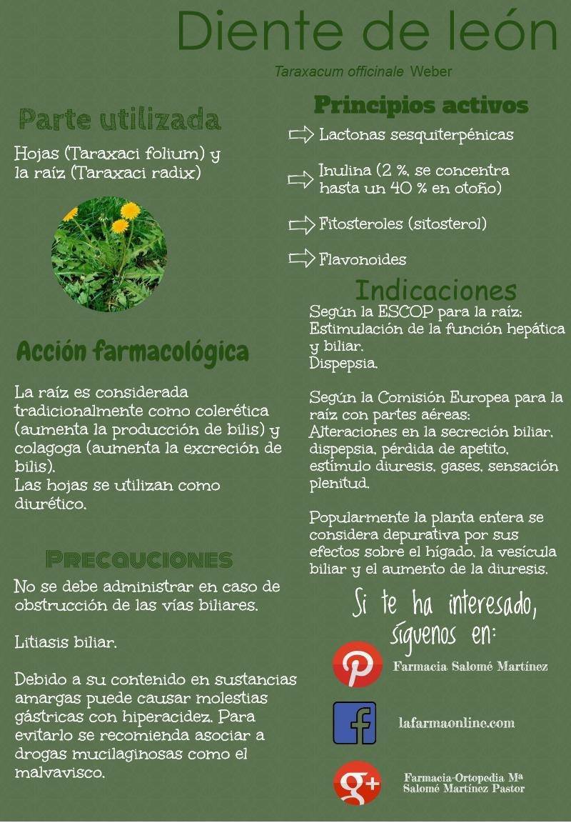 Propiedades, beneficios y contraindicaciones del uso de la raiz y hojas de Taraxacum
