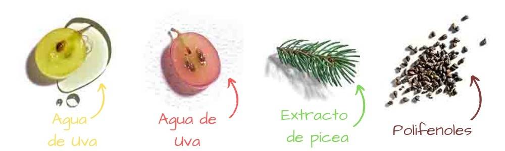 ingredientes solares