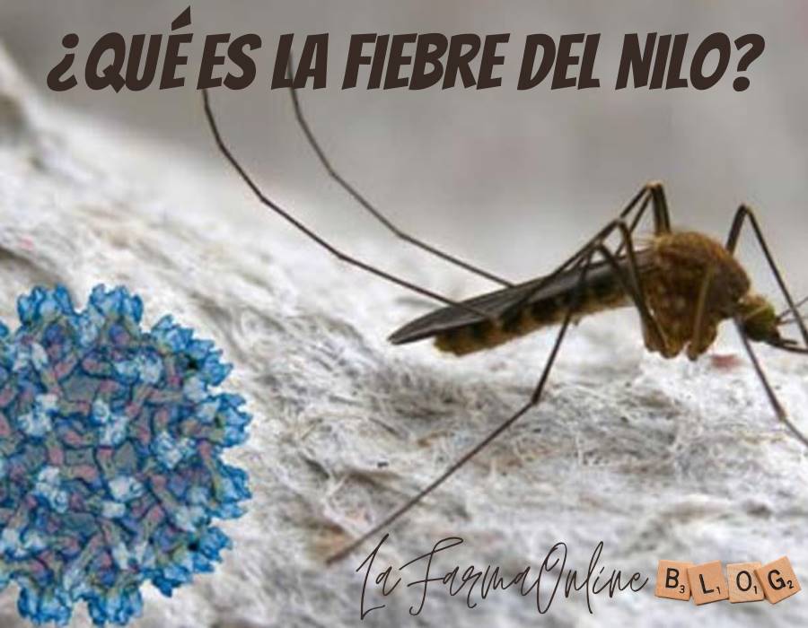 Prevención y cuidados fiebre del Nilo en España