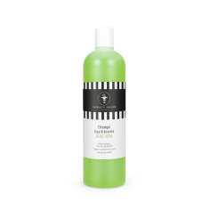 CHAMPU EQUILIBRANTE ALOE...