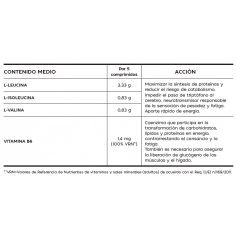 AMINOACIDOS ESENCIALES BCAA... 2